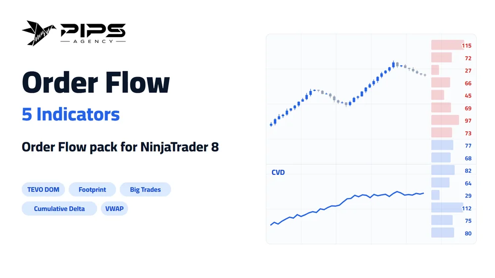 Pips Agency Order Flow pack for NinjaTrader: DOM, footprint, big trades, cumulative delta and VWAP